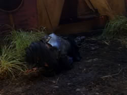 extant_XenaWarriorPrincess_1x01-SinsOfThePast_02326