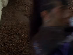 extant_XenaWarriorPrincess_1x01-SinsOfThePast_03368
