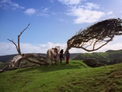 extant_XenaWarriorPrincess_1x01-SinsOfThePast_03658