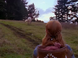 extant_XenaWarriorPrincess_1x02-ChariotsOfWar_00098