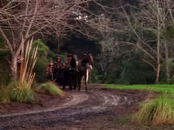 extant_XenaWarriorPrincess_1x02-ChariotsOfWar_00301