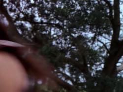 extant_XenaWarriorPrincess_1x02-ChariotsOfWar_00369