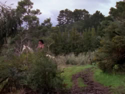 extant_XenaWarriorPrincess_1x02-ChariotsOfWar_00370