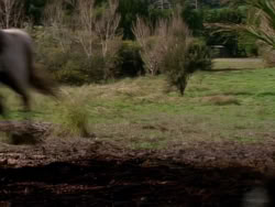 extant_XenaWarriorPrincess_1x02-ChariotsOfWar_00389