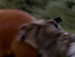 extant_XenaWarriorPrincess_1x02-ChariotsOfWar_00399