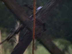 extant_XenaWarriorPrincess_1x02-ChariotsOfWar_00432