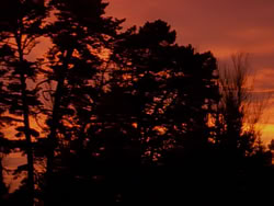 extant_XenaWarriorPrincess_1x02-ChariotsOfWar_01147