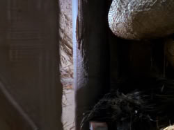 extant_XenaWarriorPrincess_1x02-ChariotsOfWar_01741