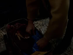 extant_XenaWarriorPrincess_1x02-ChariotsOfWar_02069