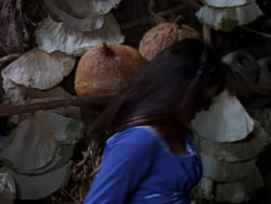 extant_XenaWarriorPrincess_1x02-ChariotsOfWar_02508