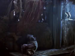 extant_XenaWarriorPrincess_1x02-ChariotsOfWar_02535
