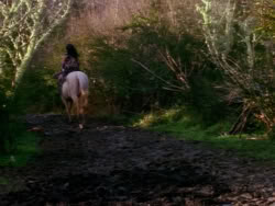extant_XenaWarriorPrincess_1x02-ChariotsOfWar_02803