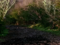 extant_XenaWarriorPrincess_1x02-ChariotsOfWar_02806