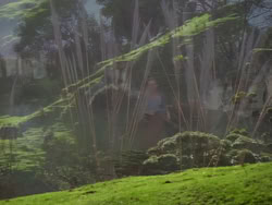 extant_XenaWarriorPrincess_1x02-ChariotsOfWar_02995