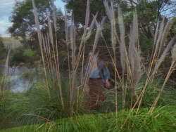 extant_XenaWarriorPrincess_1x02-ChariotsOfWar_02996
