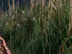 extant_XenaWarriorPrincess_1x02-ChariotsOfWar_03176