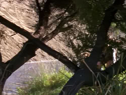 extant_XenaWarriorPrincess_1x02-ChariotsOfWar_03214