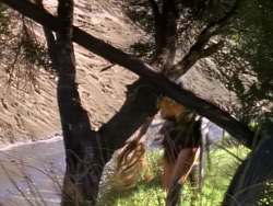 extant_XenaWarriorPrincess_1x02-ChariotsOfWar_03215