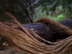 extant_XenaWarriorPrincess_1x02-ChariotsOfWar_03240