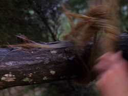 extant_XenaWarriorPrincess_1x02-ChariotsOfWar_03241