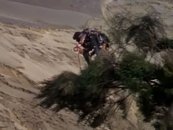 extant_XenaWarriorPrincess_1x02-ChariotsOfWar_03262