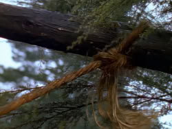 extant_XenaWarriorPrincess_1x02-ChariotsOfWar_03274