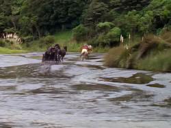 extant_XenaWarriorPrincess_1x02-ChariotsOfWar_03296