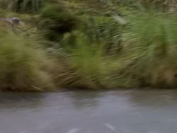 extant_XenaWarriorPrincess_1x02-ChariotsOfWar_03306