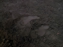 extant_XenaWarriorPrincess_1x02-ChariotsOfWar_03523