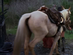 extant_XenaWarriorPrincess_1x02-ChariotsOfWar_04118