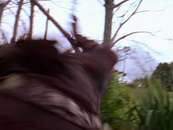 extant_XenaWarriorPrincess_1x03_Dreamworker_00253