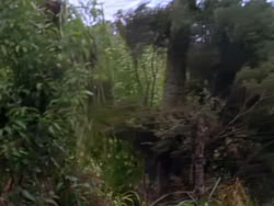 extant_XenaWarriorPrincess_1x03_Dreamworker_00274
