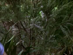 extant_XenaWarriorPrincess_1x03_Dreamworker_00338