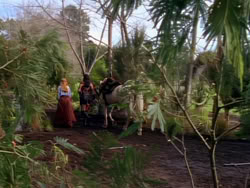 extant_XenaWarriorPrincess_1x03_Dreamworker_00358