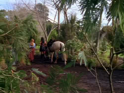 extant_XenaWarriorPrincess_1x03_Dreamworker_00359