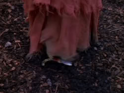 extant_XenaWarriorPrincess_1x03_Dreamworker_00759