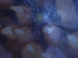 extant_XenaWarriorPrincess_1x03_Dreamworker_01404