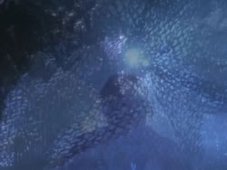 extant_XenaWarriorPrincess_1x03_Dreamworker_01412