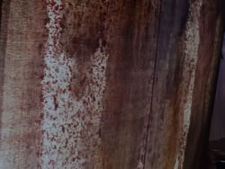 extant_XenaWarriorPrincess_1x03_Dreamworker_01804