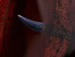 extant_XenaWarriorPrincess_1x03_Dreamworker_01844