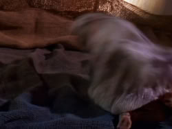 extant_XenaWarriorPrincess_1x03_Dreamworker_01914