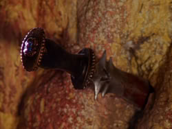 extant_XenaWarriorPrincess_1x03_Dreamworker_02513