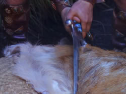 extant_XenaWarriorPrincess_1x03_Dreamworker_03197