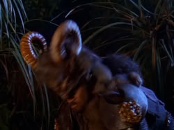 extant_XenaWarriorPrincess_1x03_Dreamworker_03198
