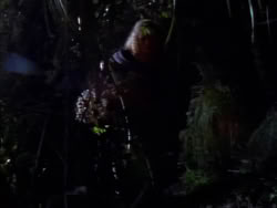 extant_XenaWarriorPrincess_1x04_CradleOfHope_00217