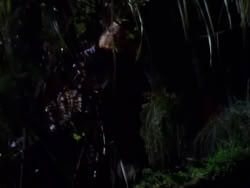 extant_XenaWarriorPrincess_1x04_CradleOfHope_00218