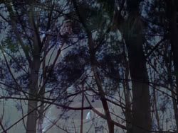 extant_XenaWarriorPrincess_1x04_CradleOfHope_00256