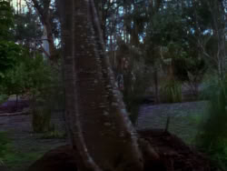 extant_XenaWarriorPrincess_1x04_CradleOfHope_00302