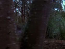 extant_XenaWarriorPrincess_1x04_CradleOfHope_00305