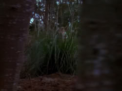 extant_XenaWarriorPrincess_1x04_CradleOfHope_00306